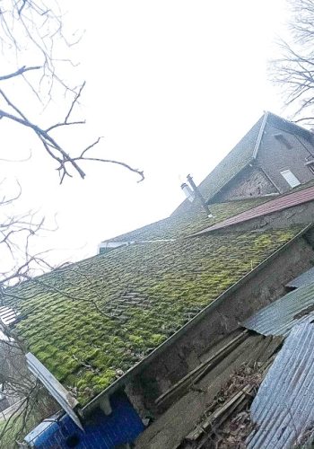Couverture, zinguerie ravalement de façade, traitement de charpente Thaon-les-Vosges (17)